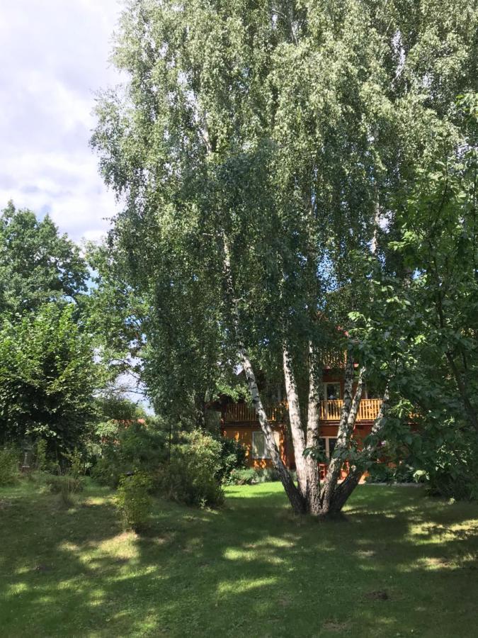 Pokoje Pod Debami Kazimierz Dolny Exterior photo
